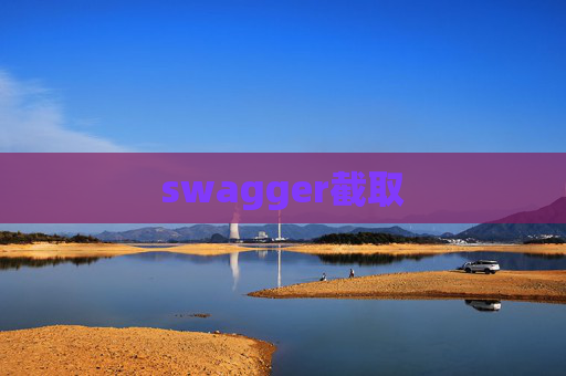 swagger截取